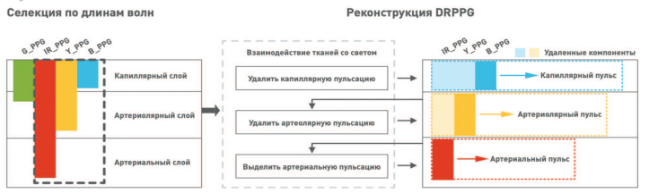  Реконструкция выделенной по глубине ФПГ из MWPPG G_PPG – ФПГ с использованием волны, длина которой соответствует зеленому свету