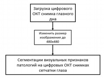Алгоритм сегментации визуальных признаков патологий на цифровых сканах ОКТ сетчатки глаза
