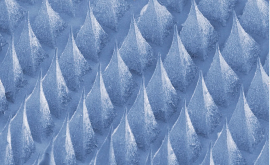 Smart patch needles