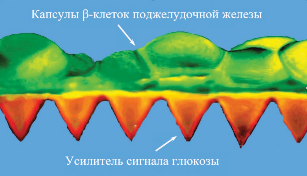 Vesicles with smart patch medicine