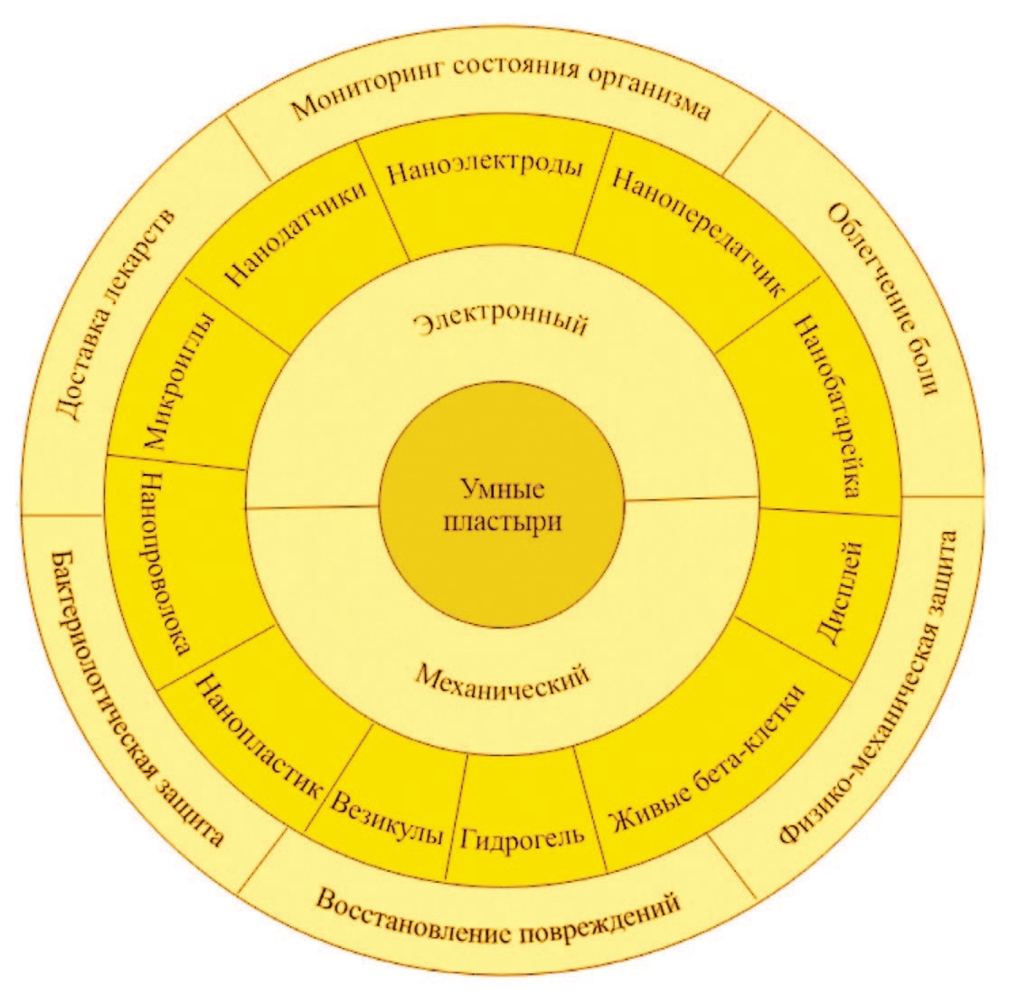 Typical areas of application and basics of smart patches