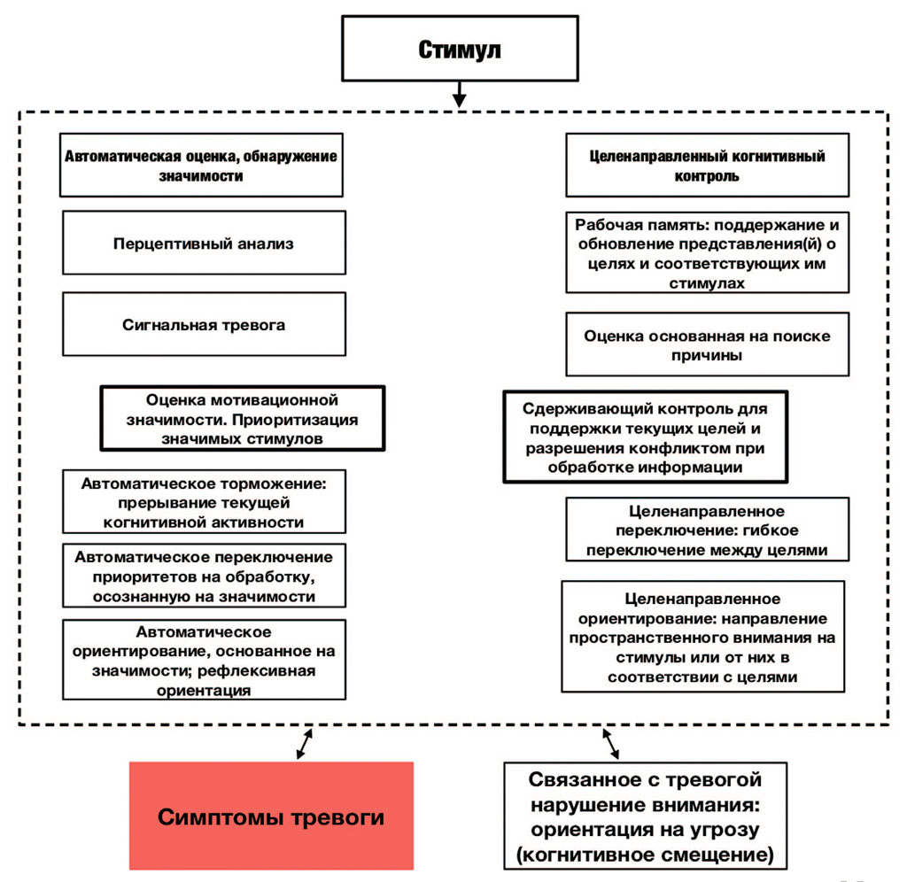 Когнитивно-мотивационная структура процессов, лежащих в основе тревоги и связанных с угрозой сдвигов во внимании К. Могг и Б. Бредли